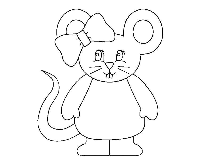 Раскраска мышка для детей (мышка)