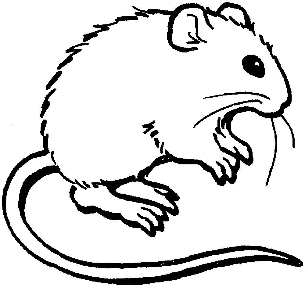 Мышка для раскраски (мышка)