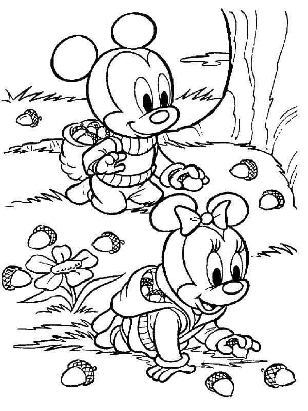 Раскраски Микки Мауса и Мисси на осеннюю тему с желудями (желуди)