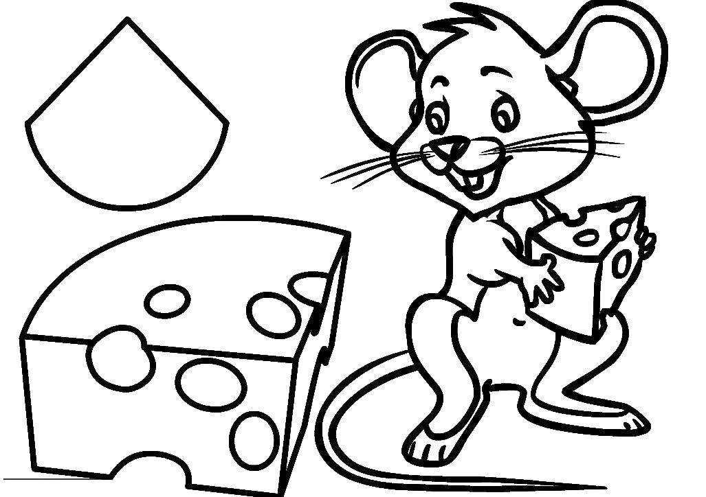 Раскраски животных: мышка (мышка, сказки)