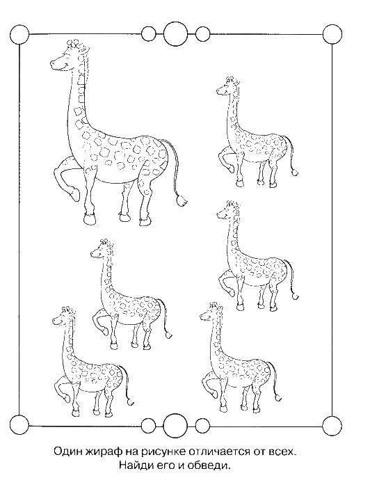 Раскраски с ребусами для детей: обучающая раскраска, развивающая логика (ребусы, логика)