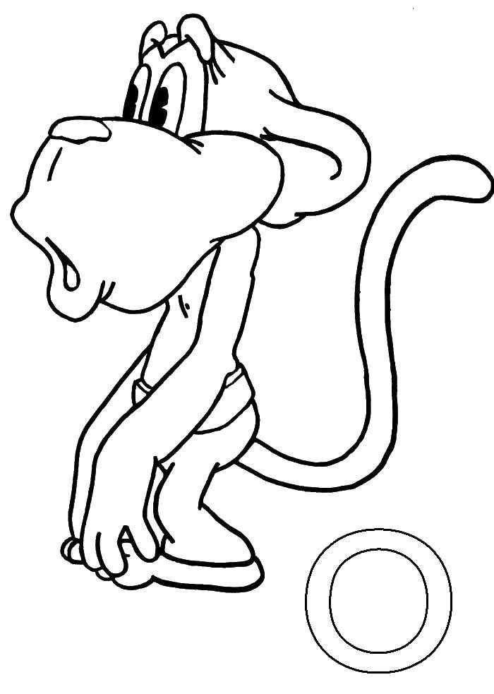 Раскраска обезьяна для детей (обезьяна)