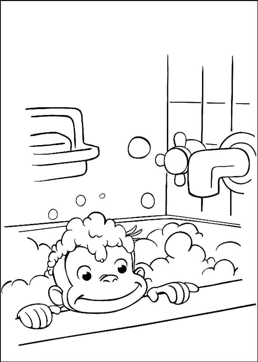 Раскраска обезьянка, пена, кран, ванна (обезьянка, ванна)