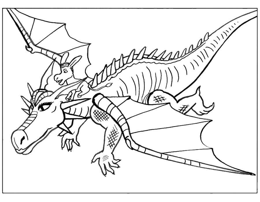 Раскраска Шрек и дракон для детей (дракон)