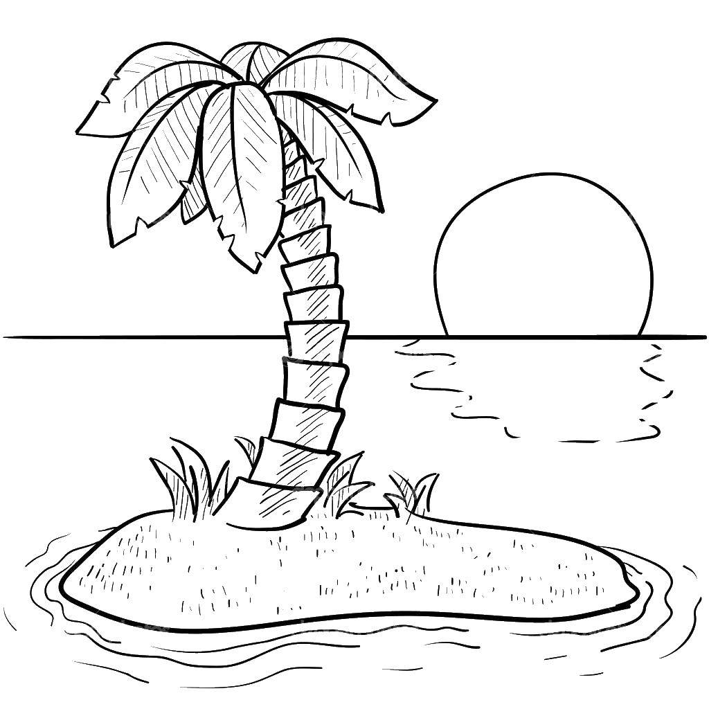 Раскраска остров Деревья с пальмой для детей (остров, Деревья, пальма)