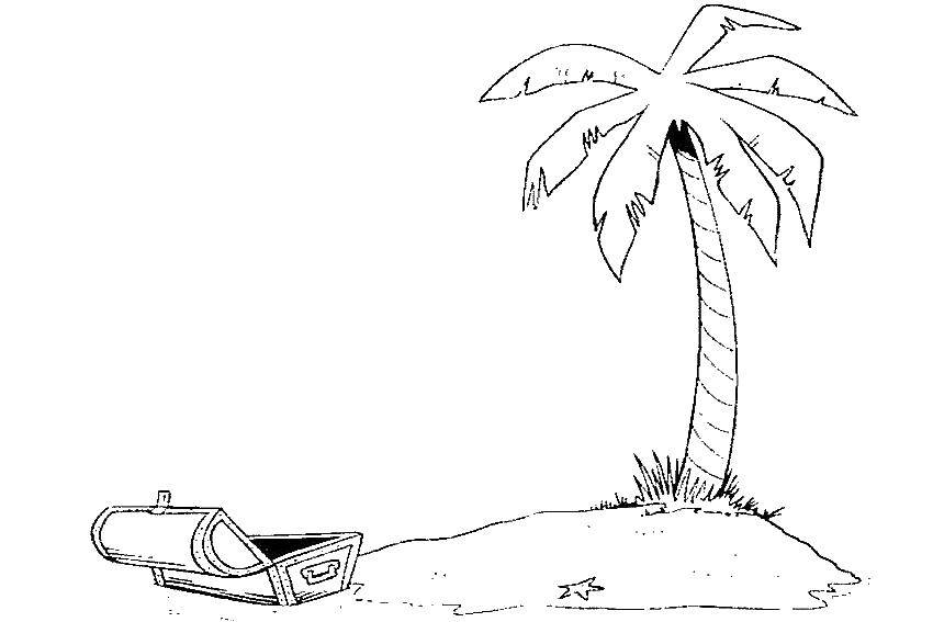 Раскраски на тему Лето пальма, сундук, остров для детей (пальма, остров, игры, сказки, праздники, разное)