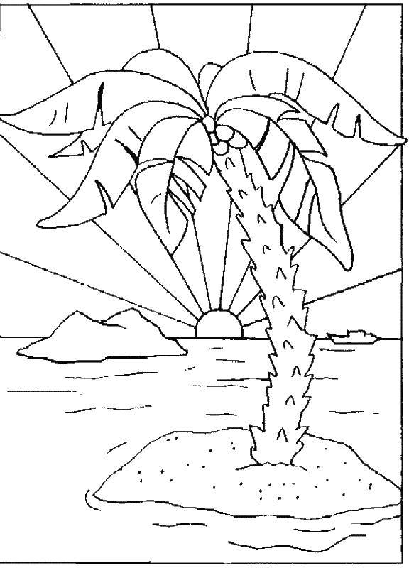 Раскраска природа пальма для детей (пальма)