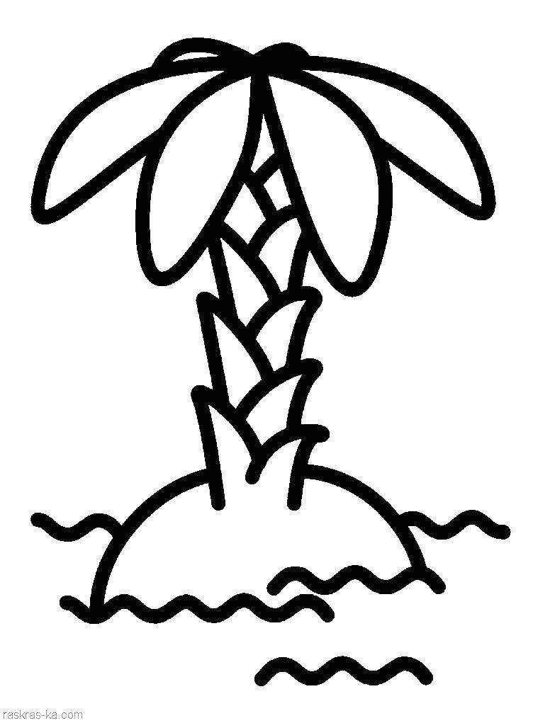 Раскраска с пальмами для маленьких детей (творческие)