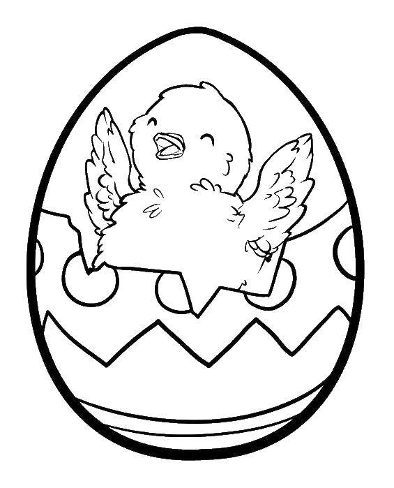 Раскраска пасхальных яиц и цыпленка (яйца, цыпленок)