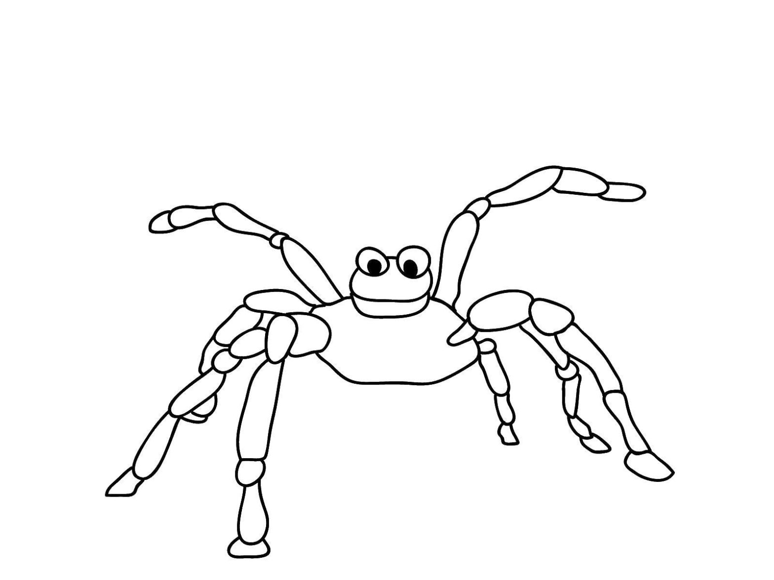 Раскраска с пауком на фоне паутины (пауки)