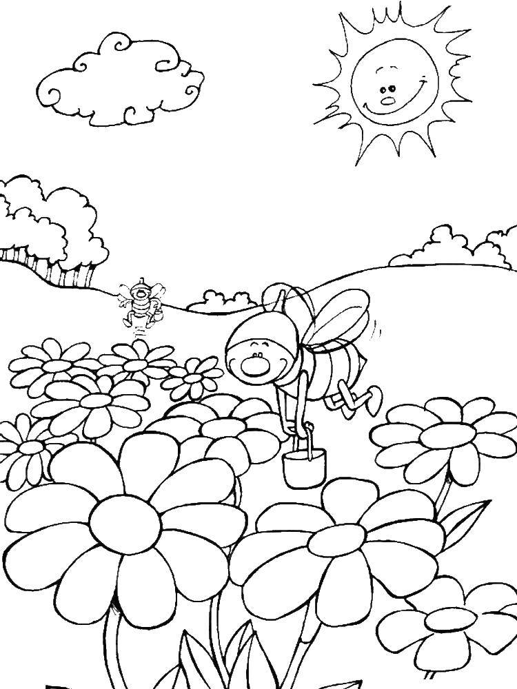 Раскраска с пчелой на цветке (пчела, цветы)