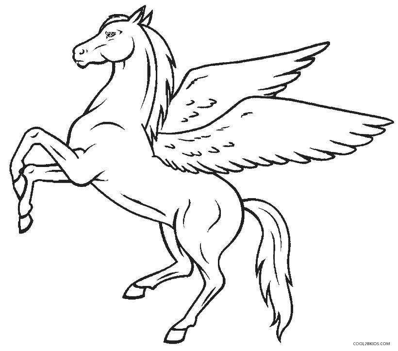 Раскраска пегаса, коня и крыльев для детей (крылья, раскрасить)