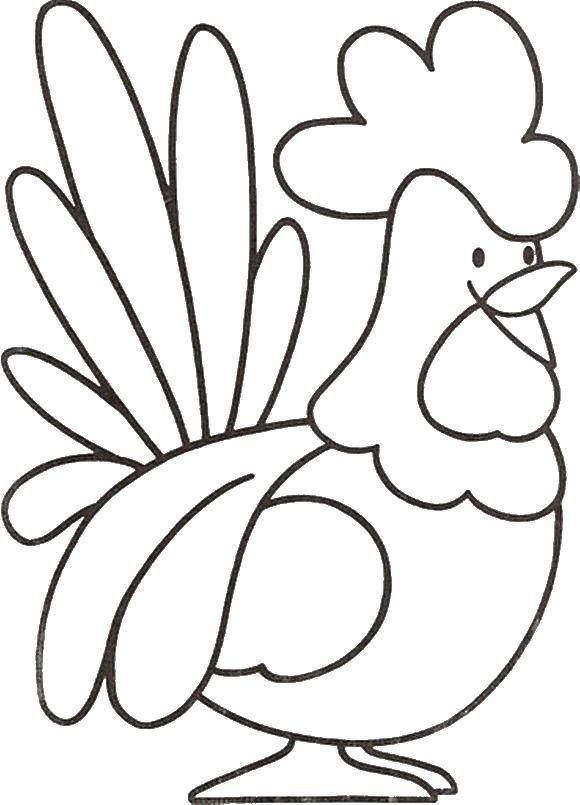 Раскраска птицы петух для детей (петух)