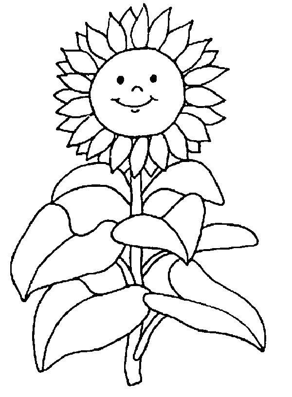 Раскраска с изображением подсолнуха и солнца для малышей (малыши, подсолнух, солнце)