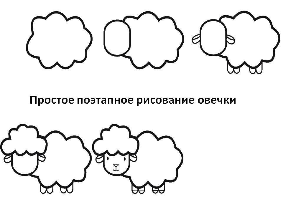 раскраска овечки для детей (овечка)