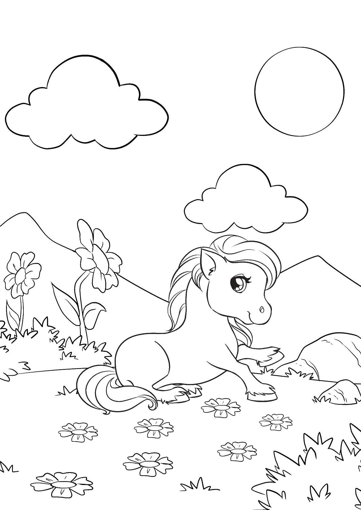 Раскраска Мой маленький пони с цветами и травой (трава)