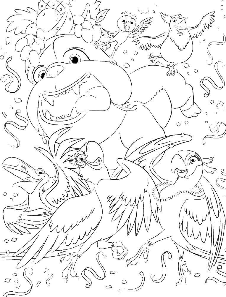 Раскраска голубого ара и других попугаев для детей (попугай)