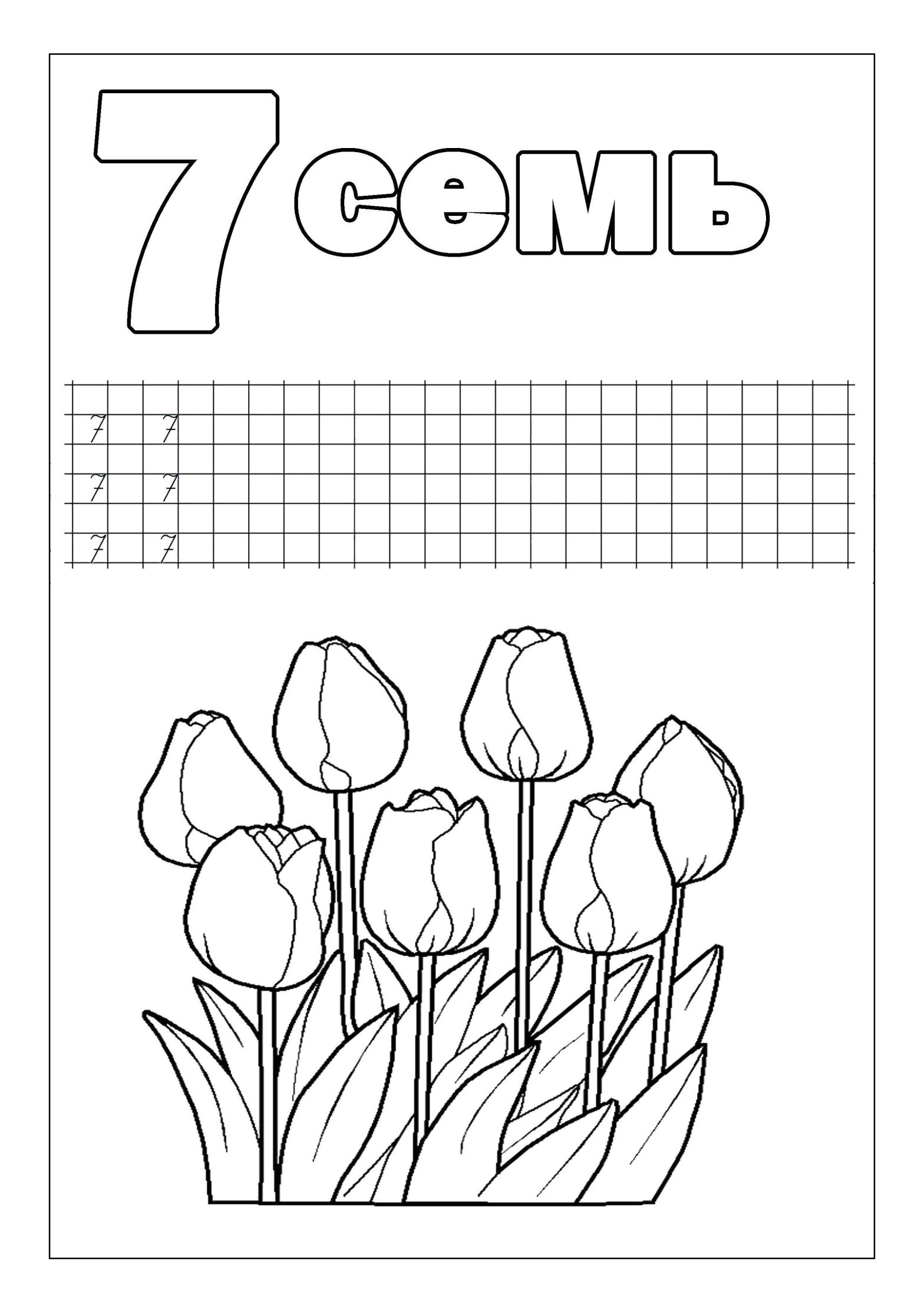 Раскраска с тюльпанами и цифрой 7 (цифры, тюльпаны)