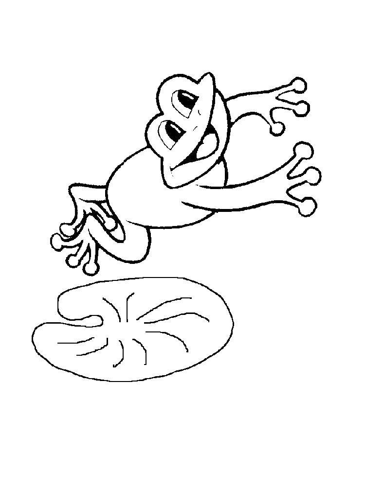 Раскраска лягушки Рептилии для детей (лягушка)