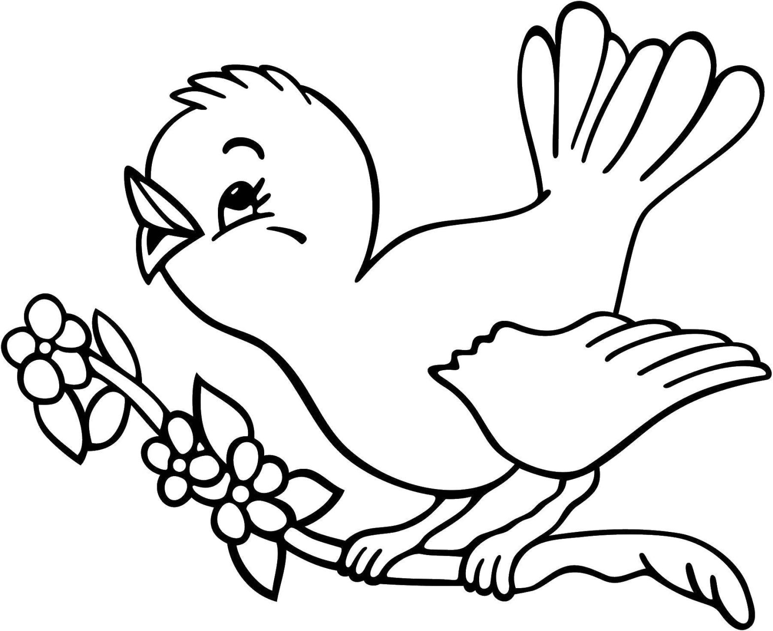 Раскраска птицы для детей (развивающие)
