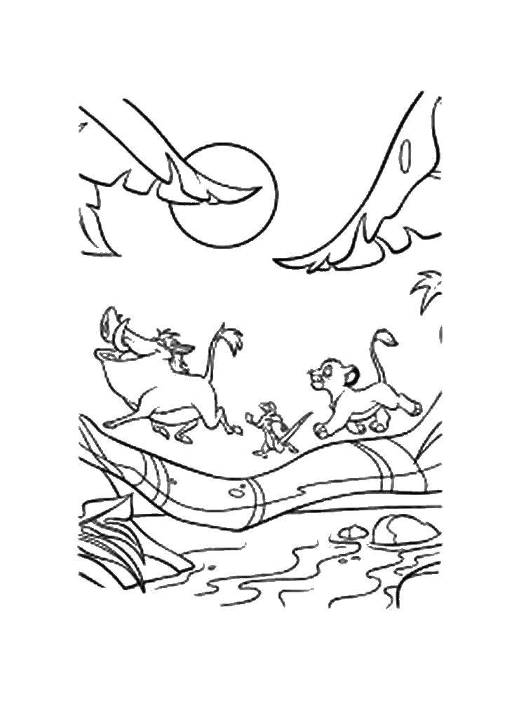 Раскраска Король лев: Пумба, Симба, Тимон для детей (Пумба, Симба, Тимон)