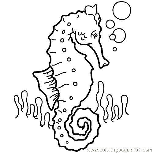 Раскраска с морским коньком, водорослями и пузырями (пузыри)