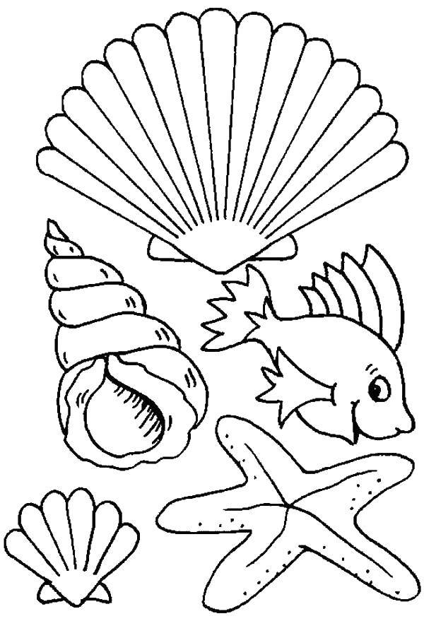 Летний пляж с ракушками и рыбкой: раскраски для детей (ракушки, рыбка)