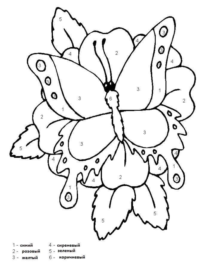 Раскраска бабочки Образец с цифрами (бабочка, Образец)