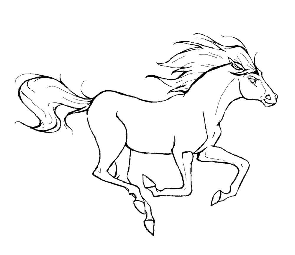 Раскраска лошадки для девочек (девочки, лошадки)
