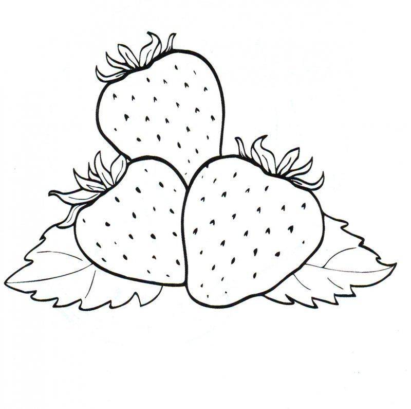 Раскраска ягоды клубника для девочек (ягоды, клубника)