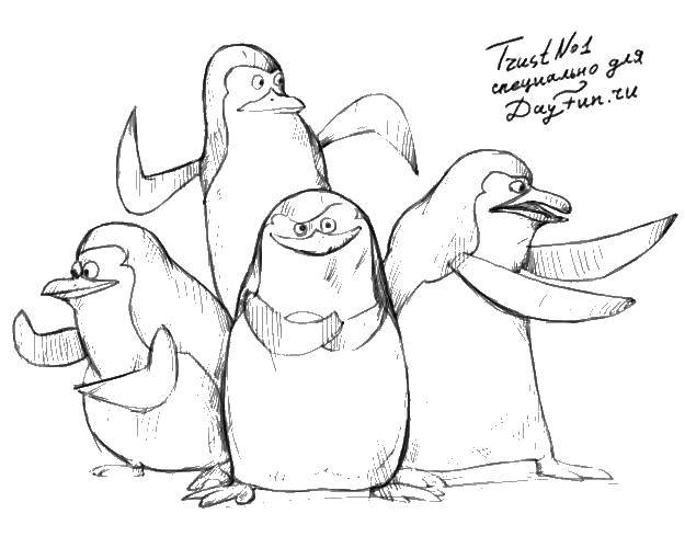 Рисунок карандашом пингвинов из мультфильма Шкипер (карандашом, Шкипер, рисунок, научиться)