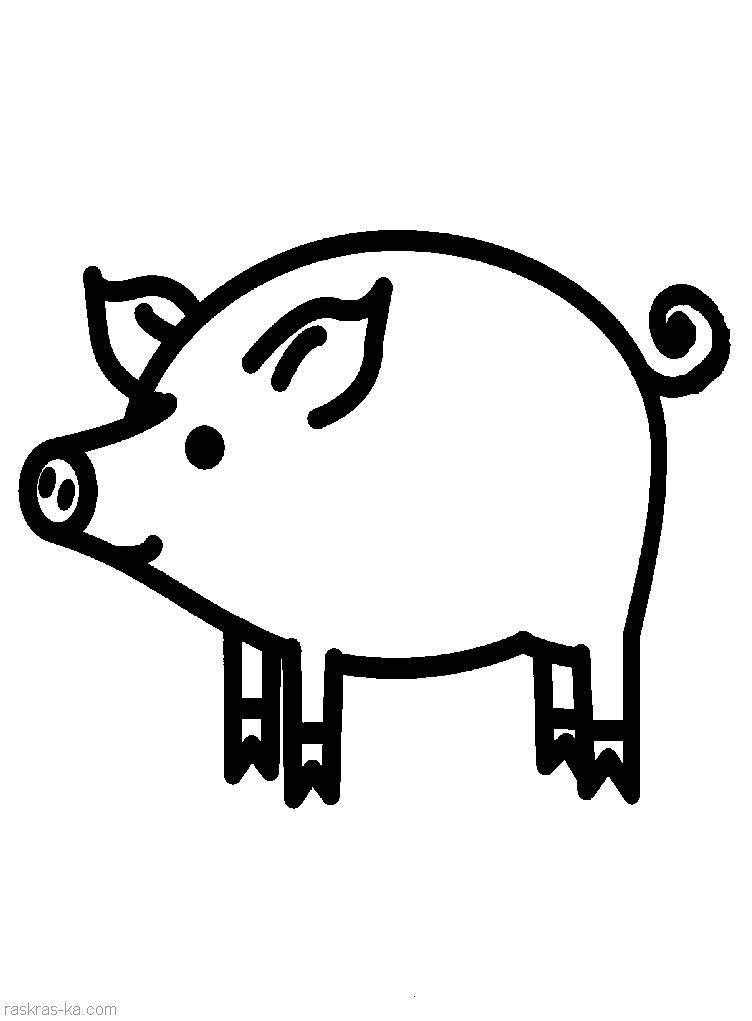 Раскраска домашних животных Свинья и поросенок для детей (Свинья, поросенок)