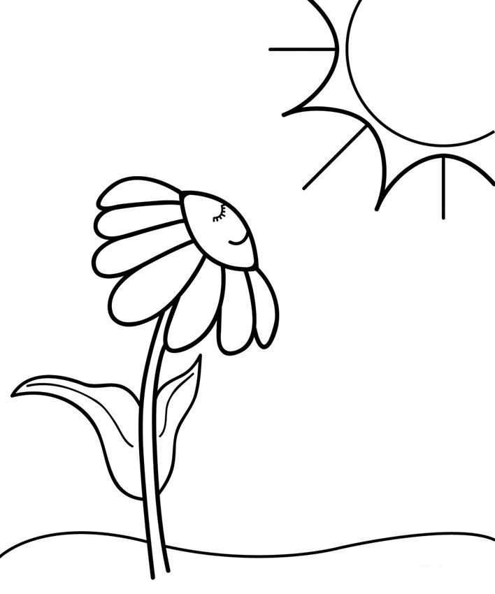 Раскраска цветок: Ромашка тянется к солнцу (цветок, ромашка)