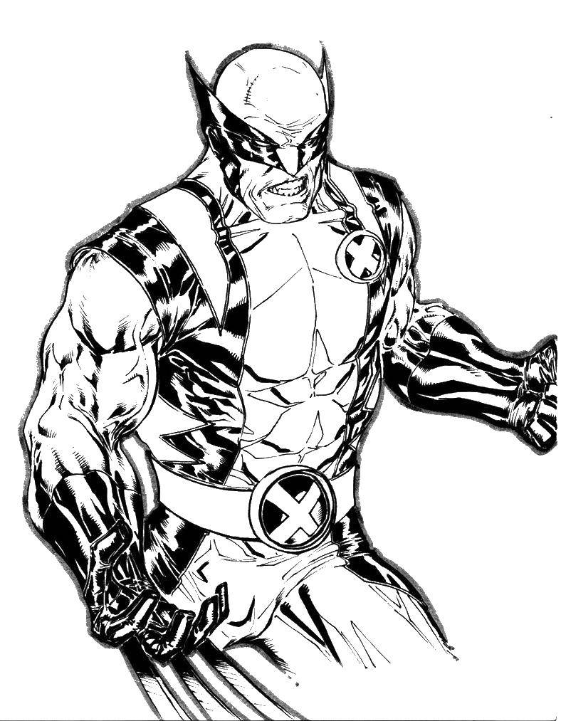 Раскраска с Росомахой, Человеком-пауком и Железным человеком (Росомаха, Человек-паук)