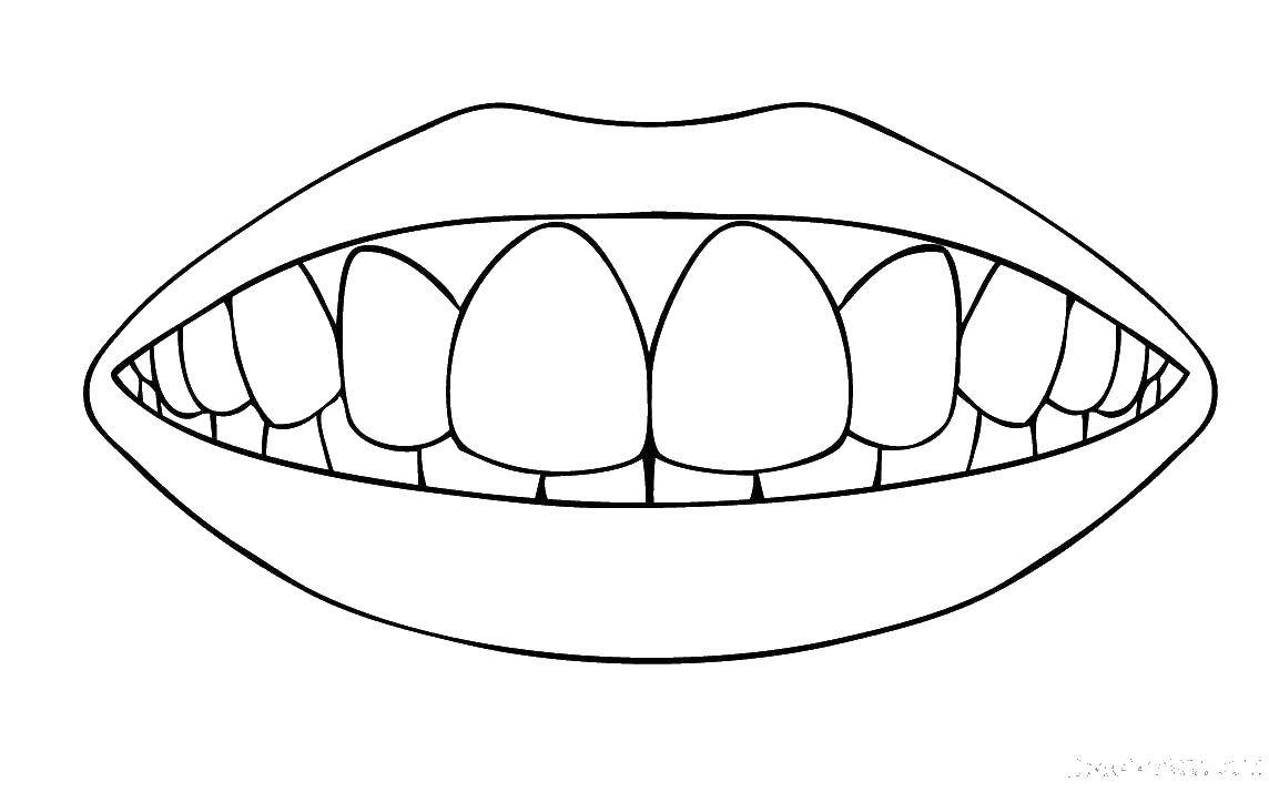 Раскраска по теме Уход за зубами Губы (уход, зубы, губы)