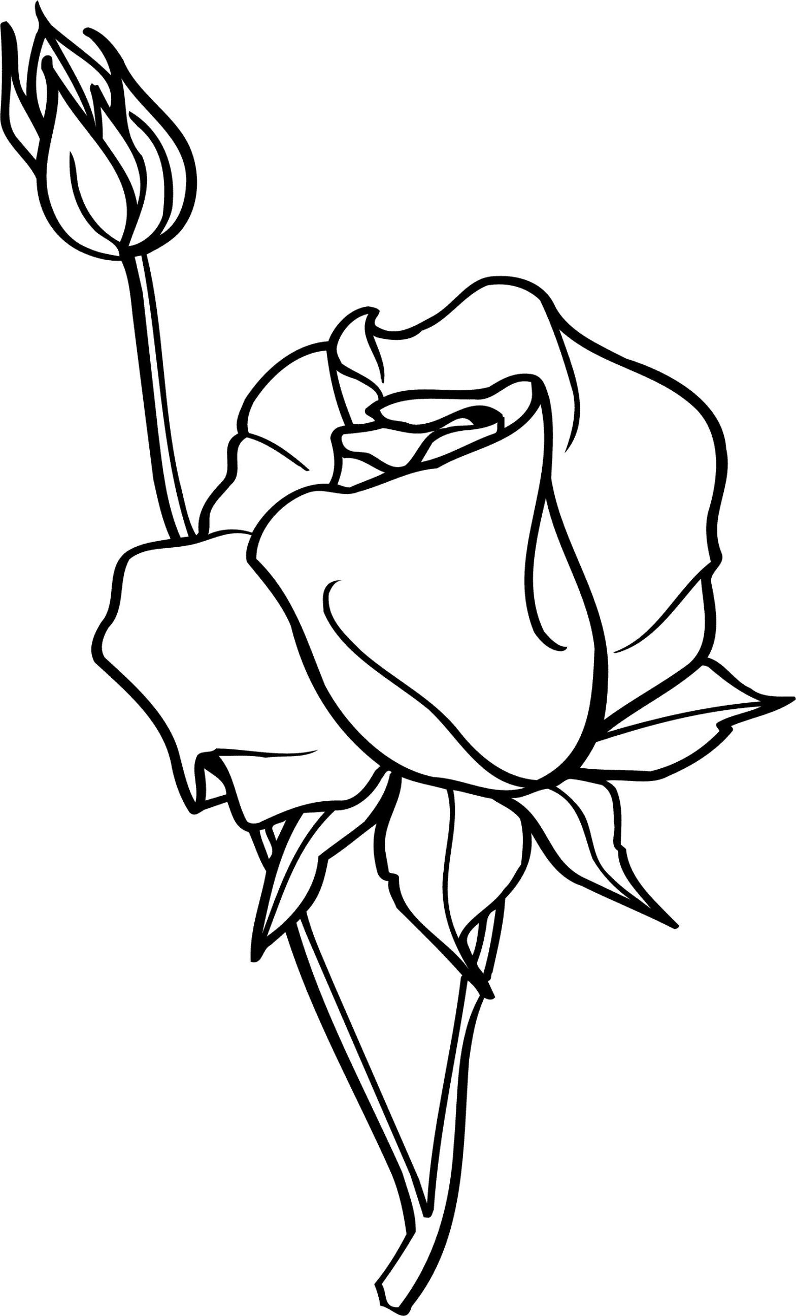 Роза Раскраска цветок для детей (розы)