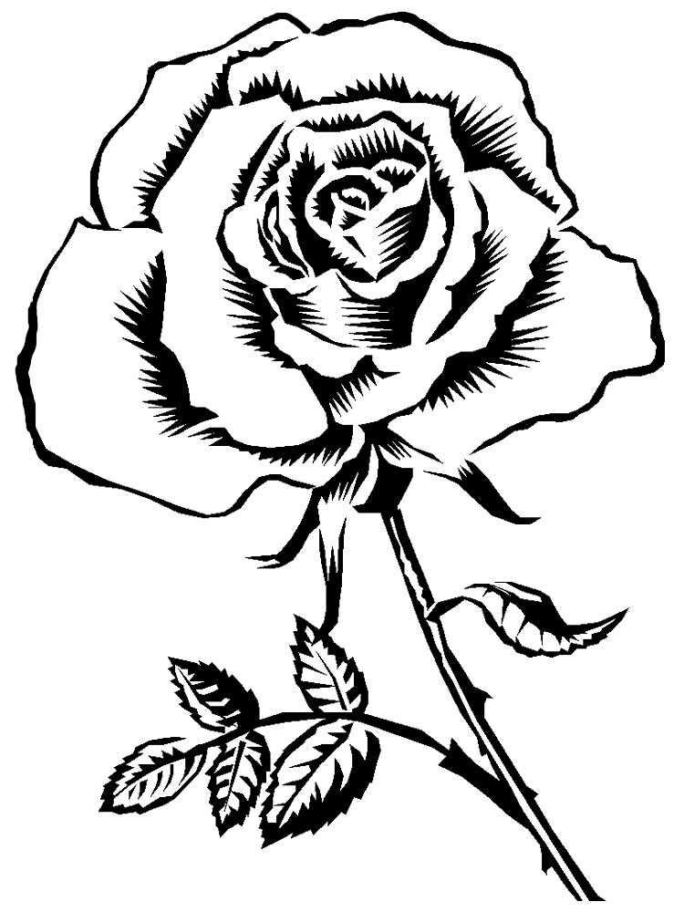 Раскраска цветок Роза для малышей (цветок, роза)
