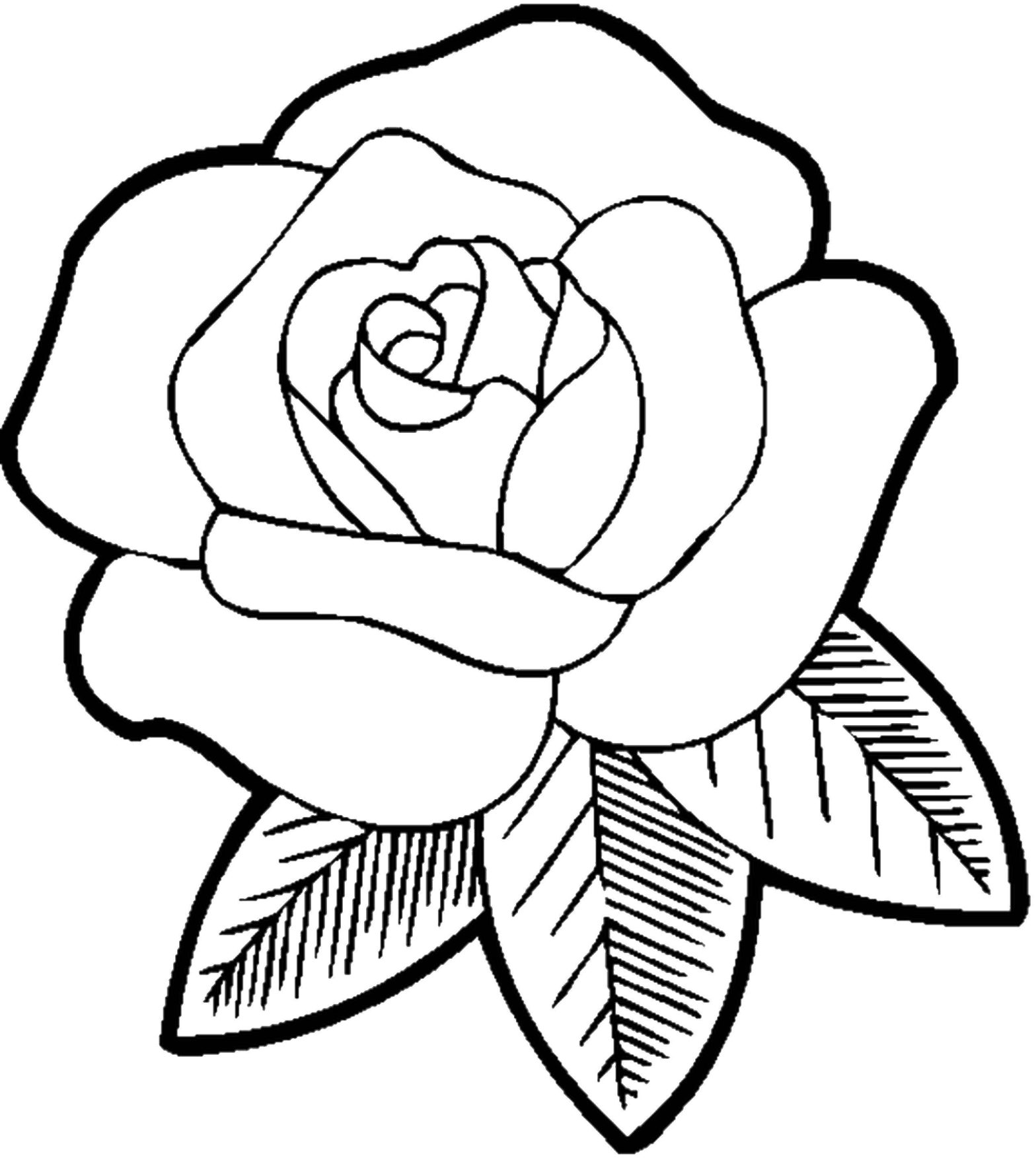 Раскраска с цветами Цветы и розой для девочек (роза)