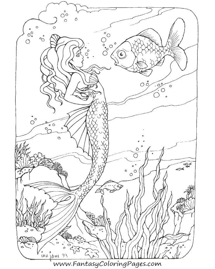 Раскраска с изображением фэнтезийной русалки, девушки и рыбки (рыбка)