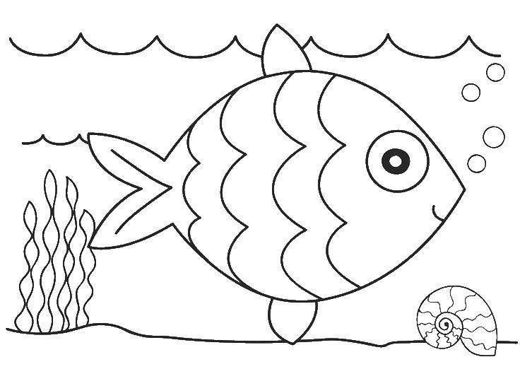 Раскраска подводный мир с изображением рыбы (подводный, мир, рыба)