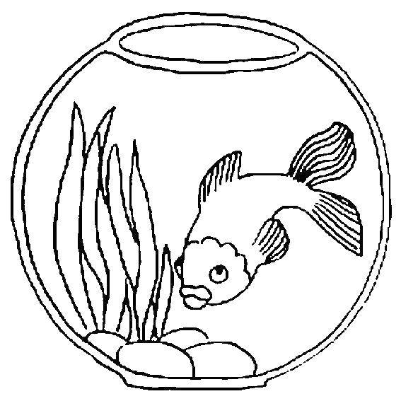 Раскраска золотой рыбки в аквариуме (водоросли)