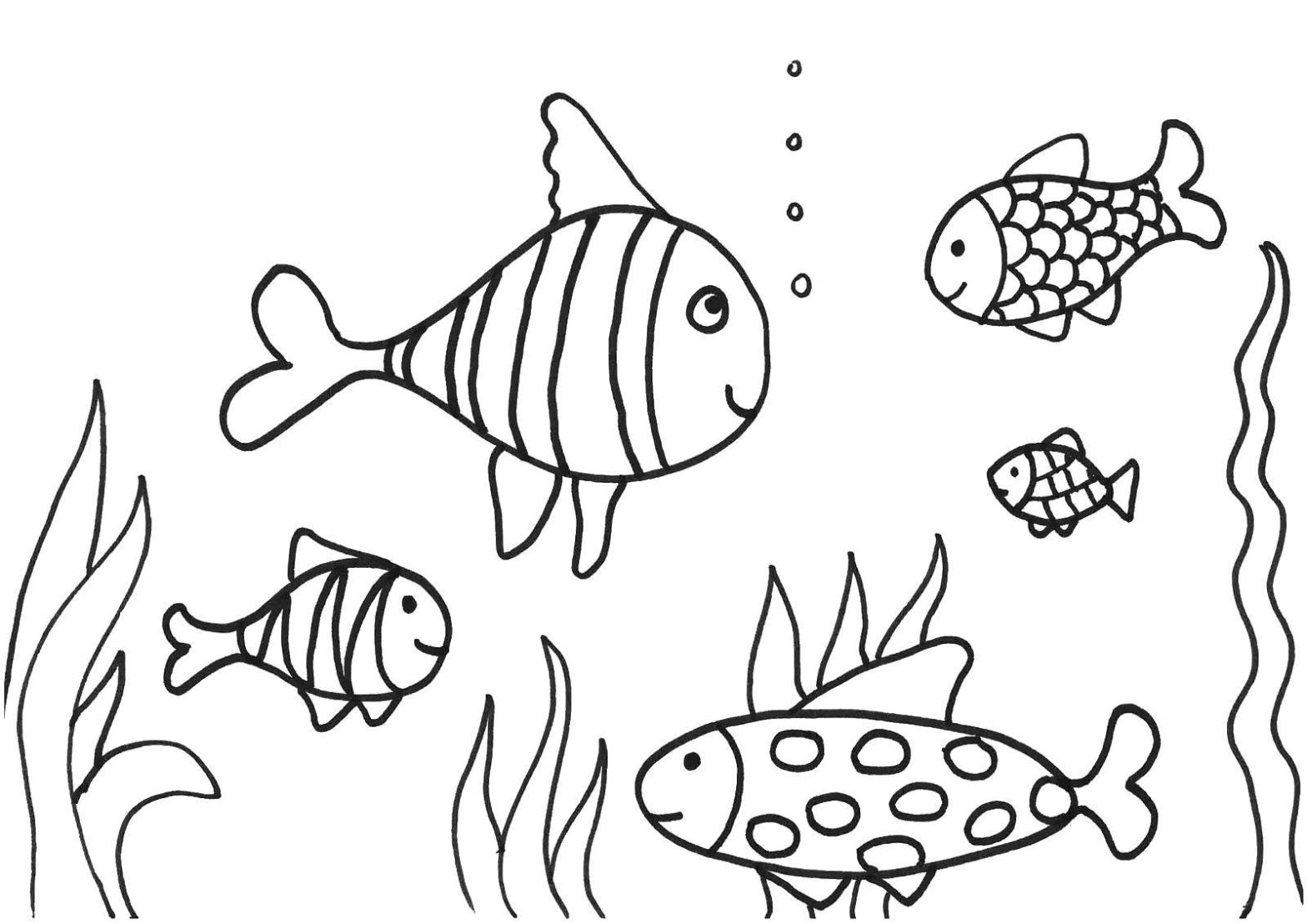 Раскраски с рыбами для малышей (рыба)