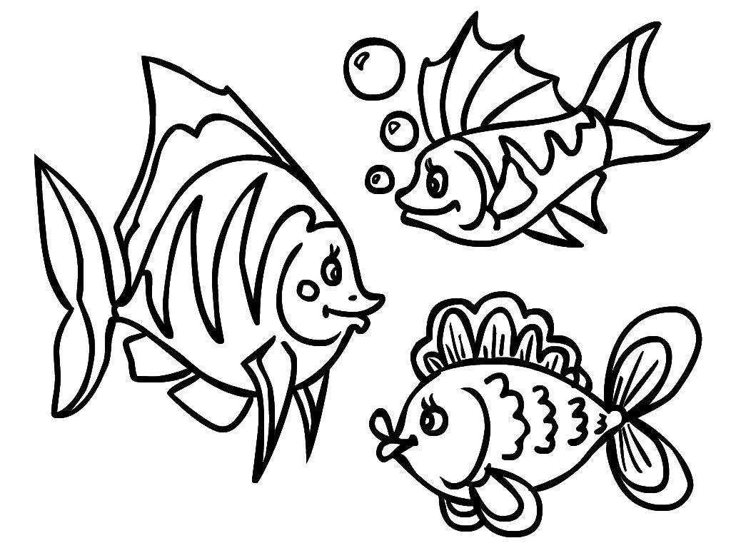 Раскраски рыбы Подводного мира для детей