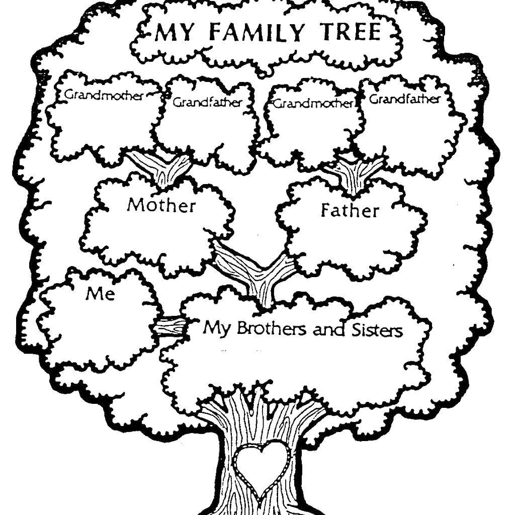 Раскраска Семейное дерево для детей