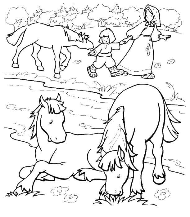 Раскраска с изображением персонажей из сказки Сестрица Аленушка и Братец Иванушка (сказки, персонажи, лошадки)