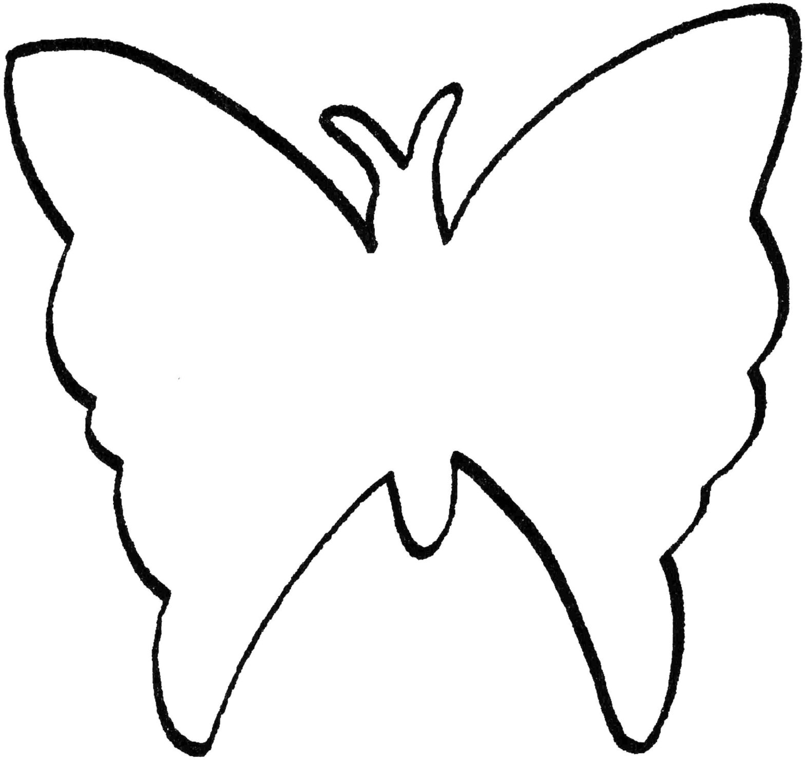 Раскраска бабочки для детей (бабочки, шаблоны)