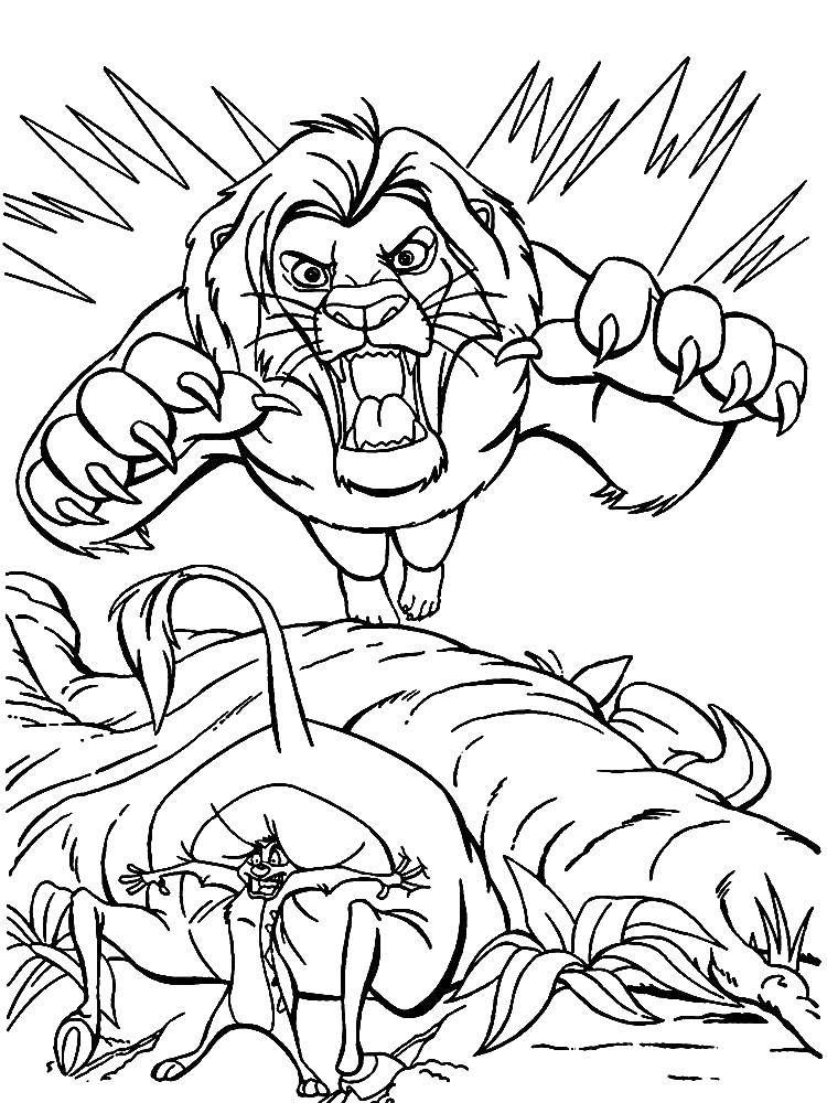 Раскраска Король Лев с изображением Симбы (мультик, Симба, Пумба)