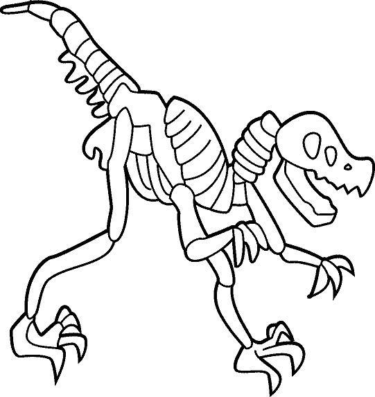 Раскраска скелета динозавра для мальчиков (скелет)