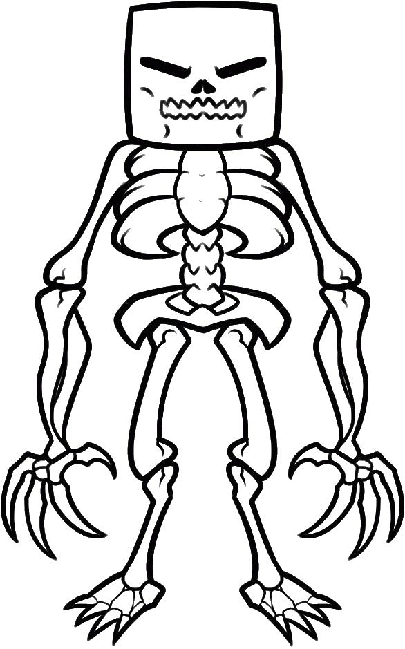 Скелет с квадратным черепом и длинными когтями на раскраске для мальчиков (скелет)
