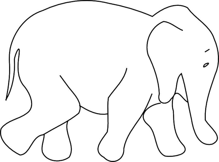 Раскраска Животные: слон с хоботом для детей (слон, хобот)